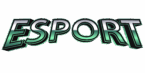 hcdesports.com_logo