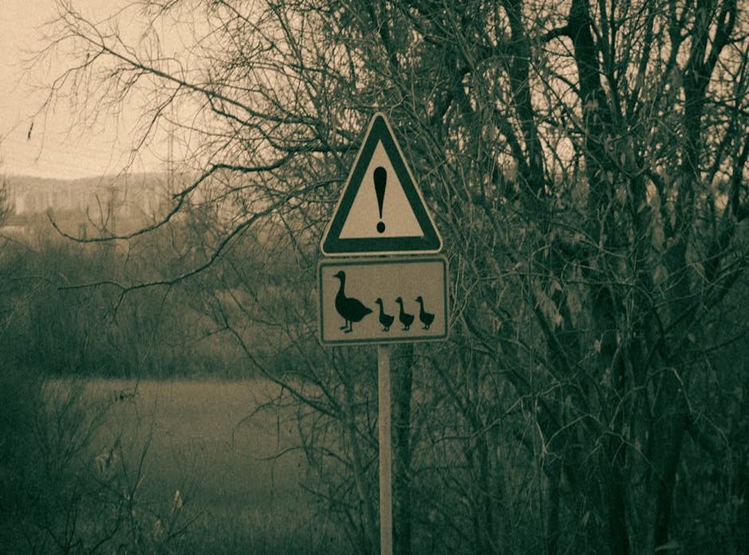 Functionality and Performance