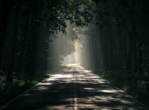Undergrowthgameline